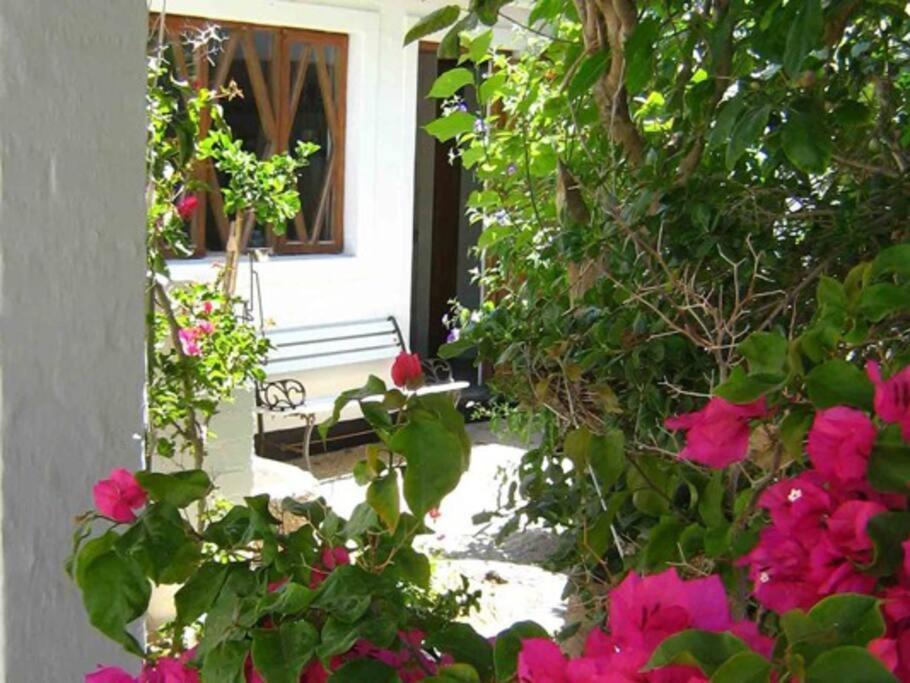 Alternative Space B&B Swakopmund Exterior foto