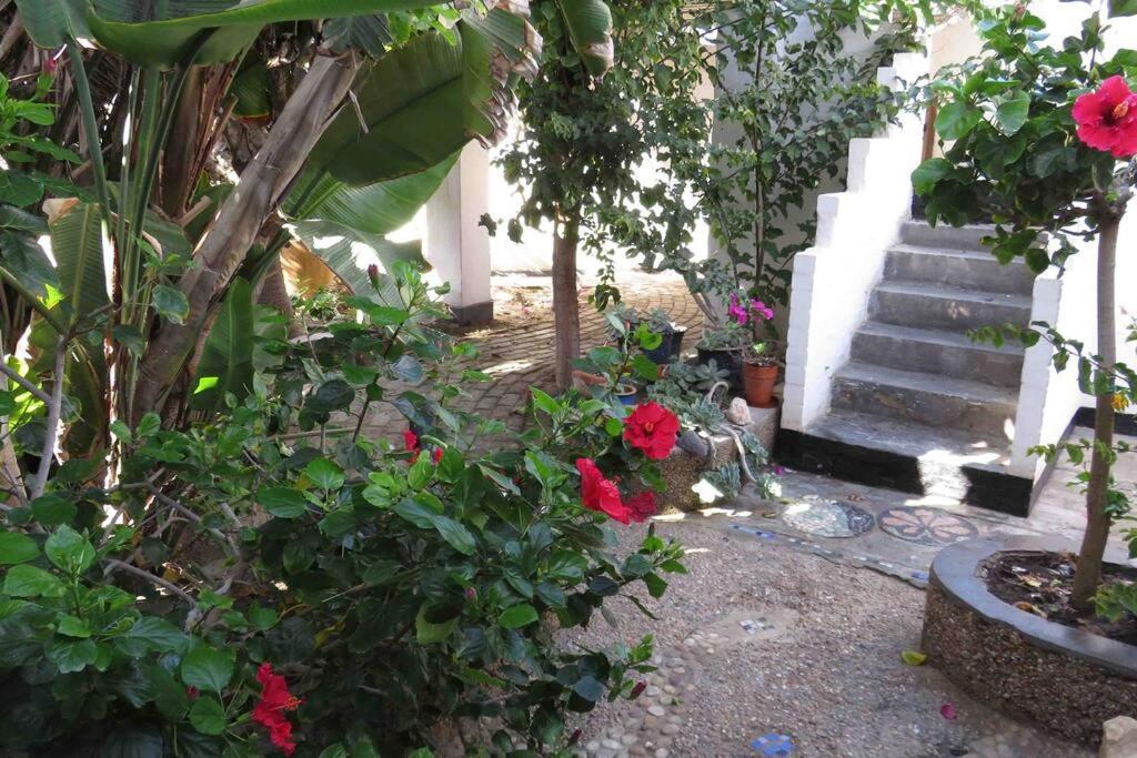 Alternative Space B&B Swakopmund Exterior foto
