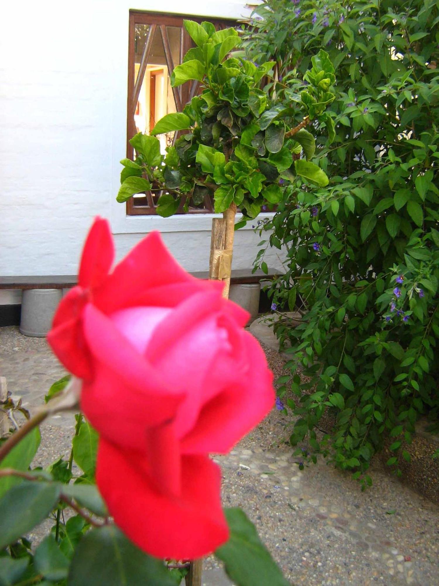 Alternative Space B&B Swakopmund Exterior foto