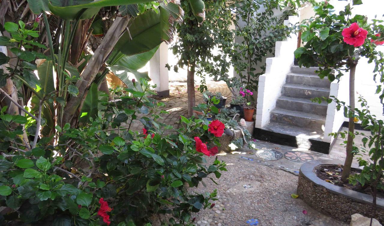 Alternative Space B&B Swakopmund Exterior foto